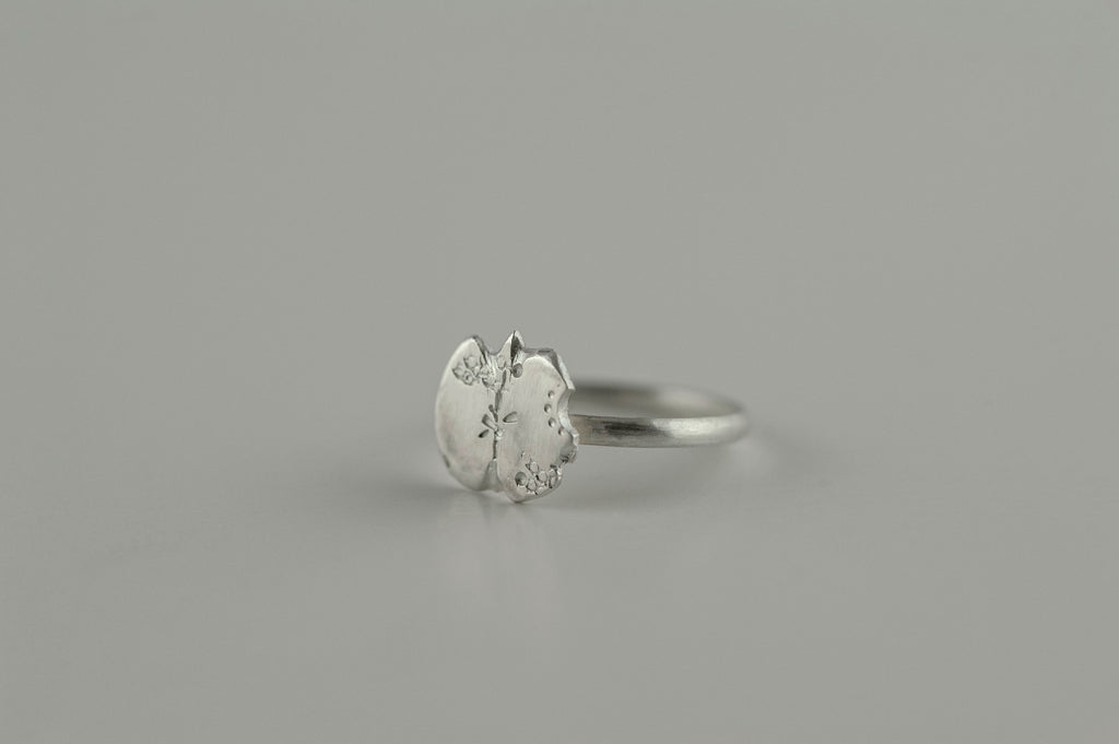 A kiss is just a KXXX- Blemished apple ring