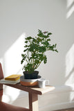 1616 Arita S&B Bowl 160