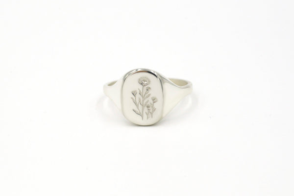 Botanical Collection - Daisy signet