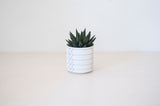 FEST AMSTERDAM - BRIGHT STRIPE POT/ CANDLE HOLDER