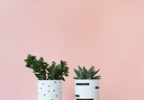 FEST AMSTERDAM - BRIGHT SQUARE POT/ CANDLE HOLDER
