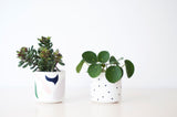 FEST AMSTERDAM - BRIGHT SQUARE POT/ CANDLE HOLDER