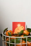 豬仔紅包袋 YEAR OF PIG RED PACKET BY FIVE METAL SHOP