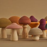 RADUGA GREZ - Mushroom